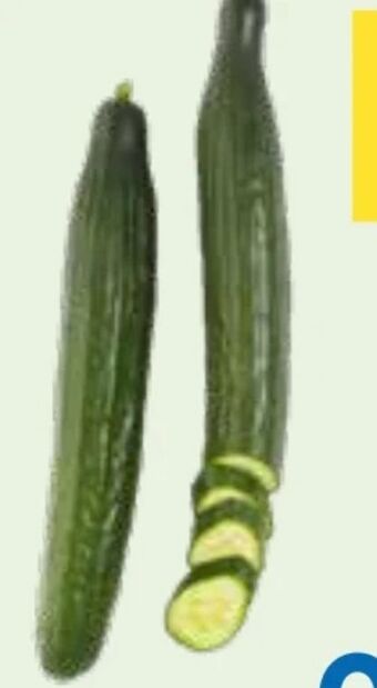 T&G Gurken Angebot
