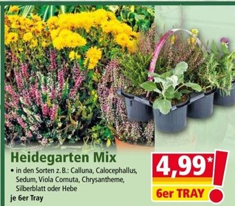 Norma Heidegarten Mix Angebot
