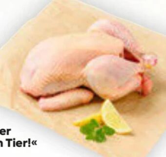 Billa Fair zum tier! hendl Angebot