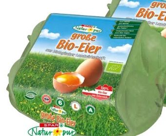 Spar Bio-eier Angebot