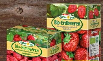 Spar Bio-himbeeren Angebot