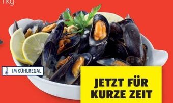 Hofer Miesmuscheln Angebot