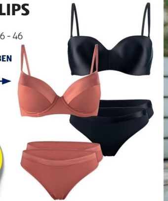 Hofer Damen-bh Angebot