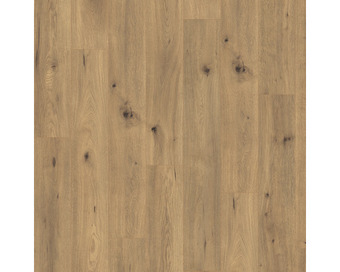Hornbach Laminat 7.0 natural wild oak Angebot