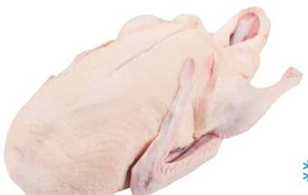 Transgourmet Ente bratfertig Angebot