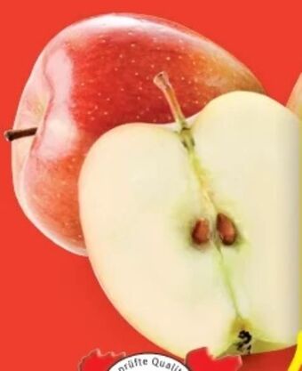 Hofer Äpfel gala Angebot