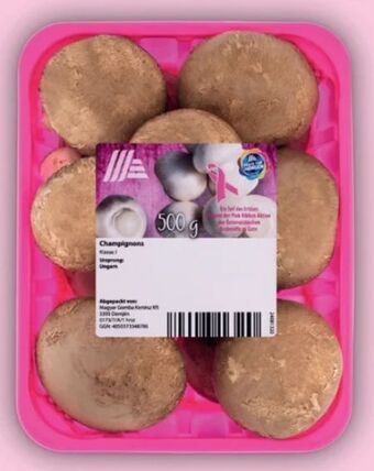 Hofer Champignons Angebot