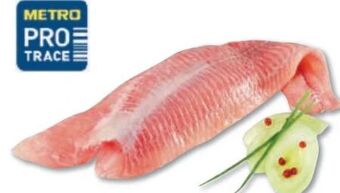 Metro Wels filet Angebot