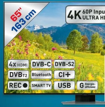 Metro Q-led tv 65q80c Angebot
