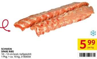 Transgourmet SCHWEIN SPARE RIBS per kg Angebot