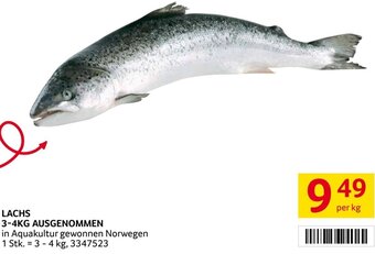 Transgourmet LACHS 3-4KG AUSGENOMMEN per kg Angebot