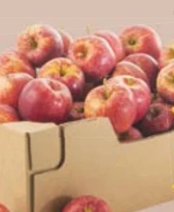 Maximarkt Äpfel rubinette Angebot
