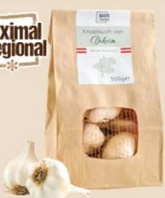 Maximarkt Knoblauch Angebot