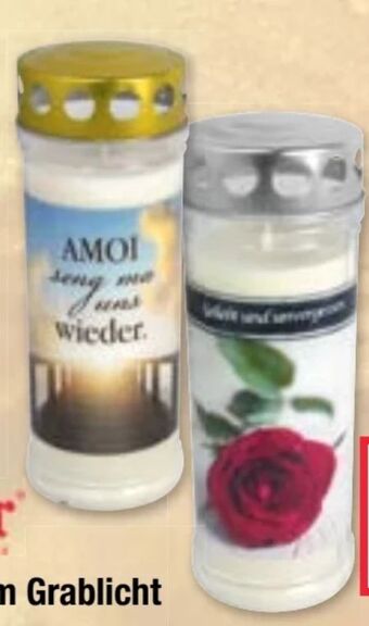 Maximarkt Premium grablicht Angebot