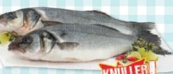 Maximarkt Wolfsbarsch Angebot