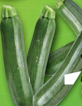Lidl Zucchini Angebot