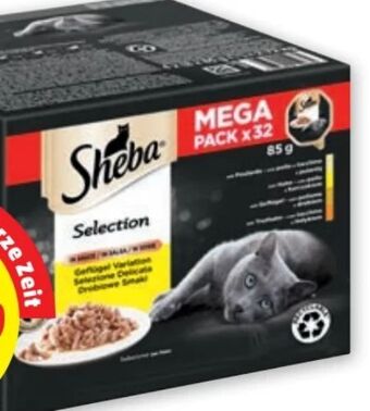 PENNY Selection Angebot