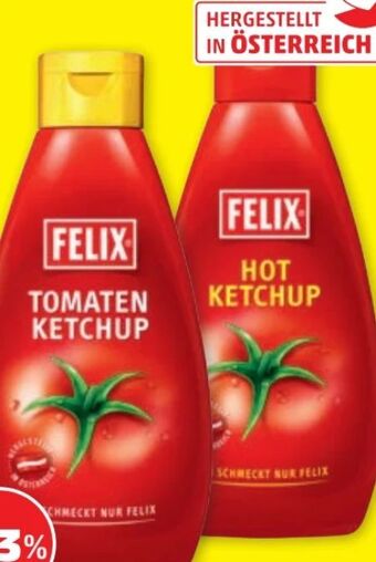 PENNY Ketchup Angebot