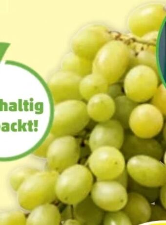 PENNY Premium trauben Angebot