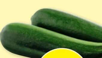 PENNY Zucchini Angebot