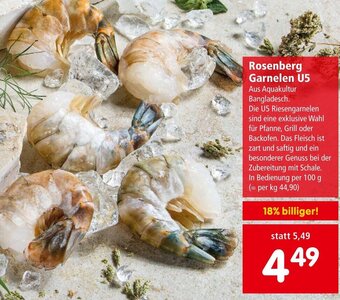 Interspar Rosenberg Garnelen U5 Angebot