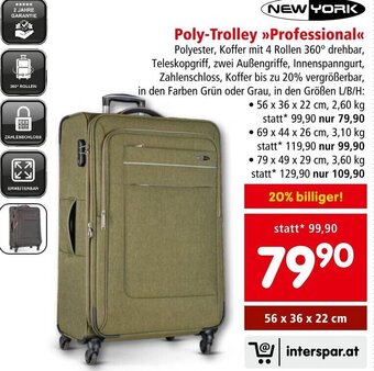 Interspar Poly-Trolley »>Professional<< Angebot