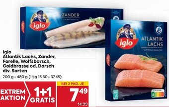 Billa Iglo Atlantik Lachs, Zander, Forelle, Wolfsbarsch, Goldbrasse od. Dorsch div. Sorten 200 g- 480 g Angebot