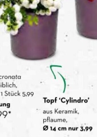 Bellaflora Topf 'Cylindro Ø 14 cm Angebot