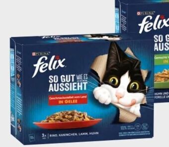Interspar Felix katzennahrung Angebot