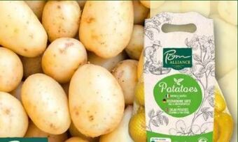 Norma Premium speisekartoffeln Angebot