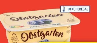 Hofer Obstgarten Angebot