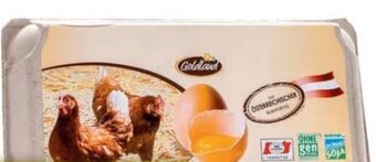 Hofer Eier Angebot
