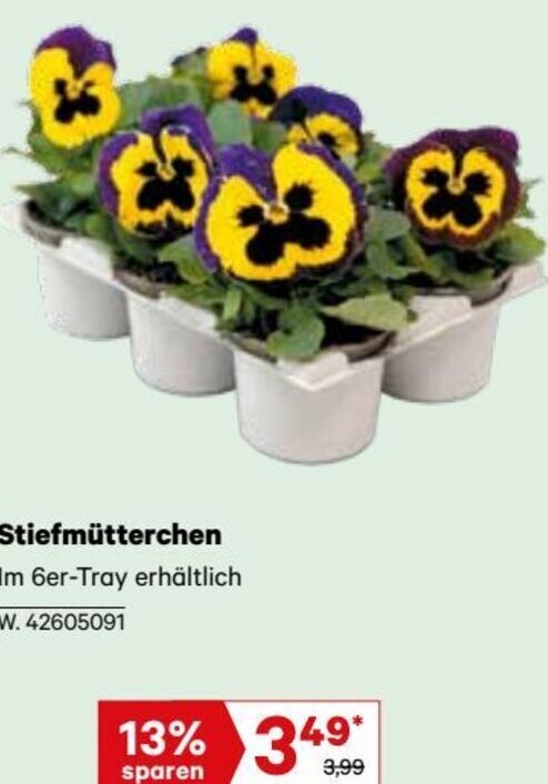 Stiefmütterchen Im 6erTray erhältlich Angebot bei Lagerhaus