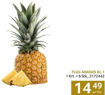 Transgourmet FLUG ANANAS KL.1 per Stk. Angebot
