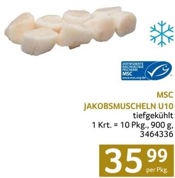 Transgourmet MSC JAKOBSMUSCHELN U10 Angebot