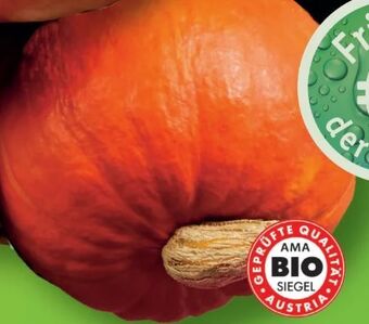 Lidl Bio speisekürbis hokkaido Angebot