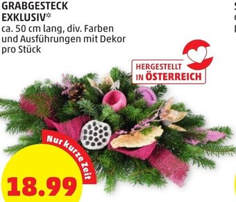 PENNY GRABGESTECK EXKLUSIV ca. 50 cm lang Angebot