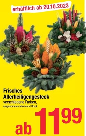 Maximarkt Frisches Allerheiligengesteck Angebot