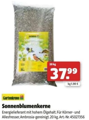Hagebau Sonnenblumenkerne Angebot