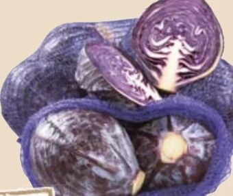 Maximarkt Rotkraut Angebot