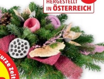 PENNY Grabgestecke exklusiv Angebot