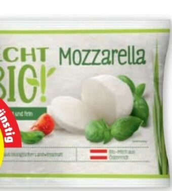 PENNY Mozzarella Angebot