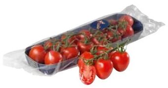 Transgourmet Rispentomaten Angebot