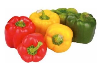 Transgourmet Bio paprika mix Angebot