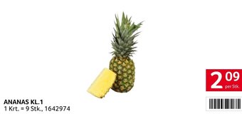 Transgourmet ANANAS KL.1 per Stk. Angebot