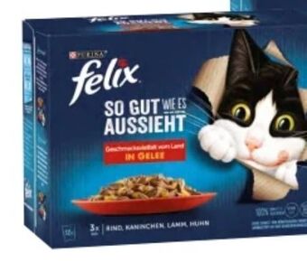 Interspar Felix katzennahrung Angebot