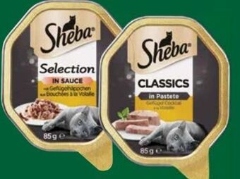 Dehner Katzen-nassfutter Angebot