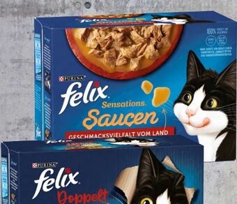 Spar Felix katzennahrung Angebot