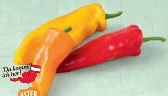 Billa Spitzpaprika bunt Angebot