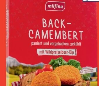 Hofer Back-camembert Angebot